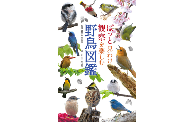 書籍記事紹介 おかげさまで13刷決定 石田光史 著 ぱっと見わけ 観察を楽しむ野鳥図鑑 ネイチャリングニュース