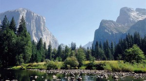 アメリカを代表する素晴らしい景勝地が今回の探鳥の舞台です