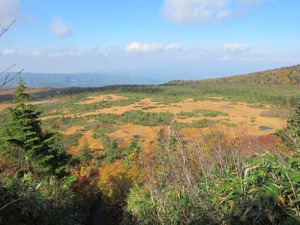 上毛無岱から下毛無岱をのぞむ