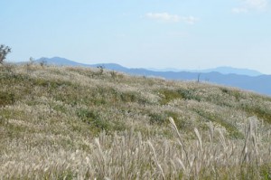 生石山頂上